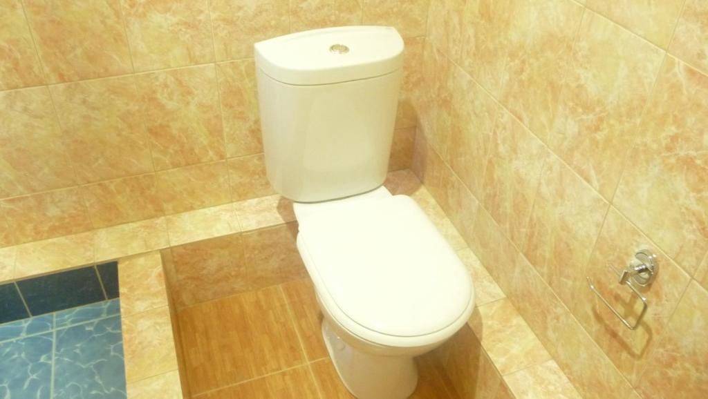 Фото Гостевого дома Гостевой дом Мария Цандрыпш 53